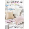 Utukky Cushion Cover, Silk Cushion Cover, 17.7 x 17.7 inches