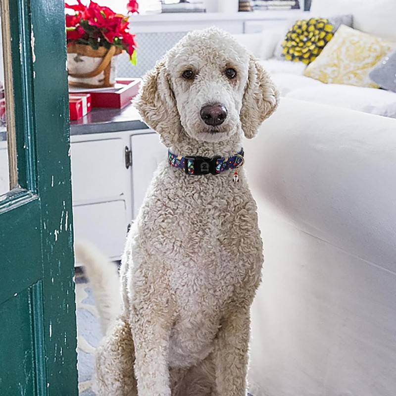 MR. CHUBBYFACE Dog Collar Universal Rocket Soft Adjustable Pet Boy