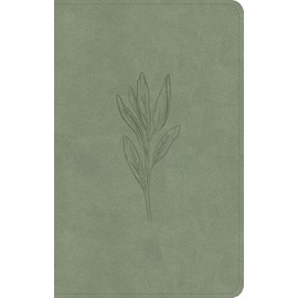 CSB Personal Size Bible, Sage SuedeSoft LeatherTouch, Red Letter, Presentation Page, Sewn Binding, Footnotes, Full-Color Maps, Easy-to-Read Bible Serif Type