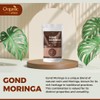 Organic Spree GOND MORINGA 200grams (7.05oz) | Moringa Oleifera Gum