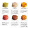 Glamourdise Assorted Macarons