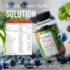 Grass & Co. Family Super Greens Gummies | Multivitamin with