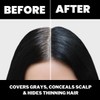 Pure Blends Blonde Root Blender, Concealer & Touch Up Spray,