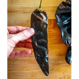 Sunshine Seeds Nuevo Mexico Chili Pepper Seeds (15) / ORGANIC / FLORIDA GROWN / MEXICAN CUISINE