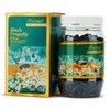 비타트리 블랙 프로폴리스 2000mg 365캡슐 VitTree Black Propolis 2000mg 365