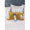 Good Night Bed Bug Spray, 16oz, Pack of 12 |