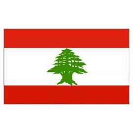 Novelties Direct Lebanon/Lebanese Flag 5ft x 3ft (100% Polyester) With Eyelets For Hanging