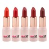 Labiales Mate Pink Up Colección Sexy 5 Lipstick