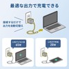 Sanwa Direct 700-AC044 Charger, Type-C 65W USB PD Rapid Charger,
