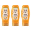 Garnier Whole Blends Illuminating Conditioner Moroccan Argan and Camellia Oils