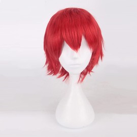 Eileen Fluffy Hair Wig, Universal Type, Cosplay, Dark Red, Unisex, Heat Resistant, Fiber Costume, Event Wig with Net