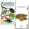 ニチユー(Nichiyu) トランプ【レプタイルズ＆アンフィビン Reptiles & Amphibians Playing Cards】個性的な爬虫類がカードに！
