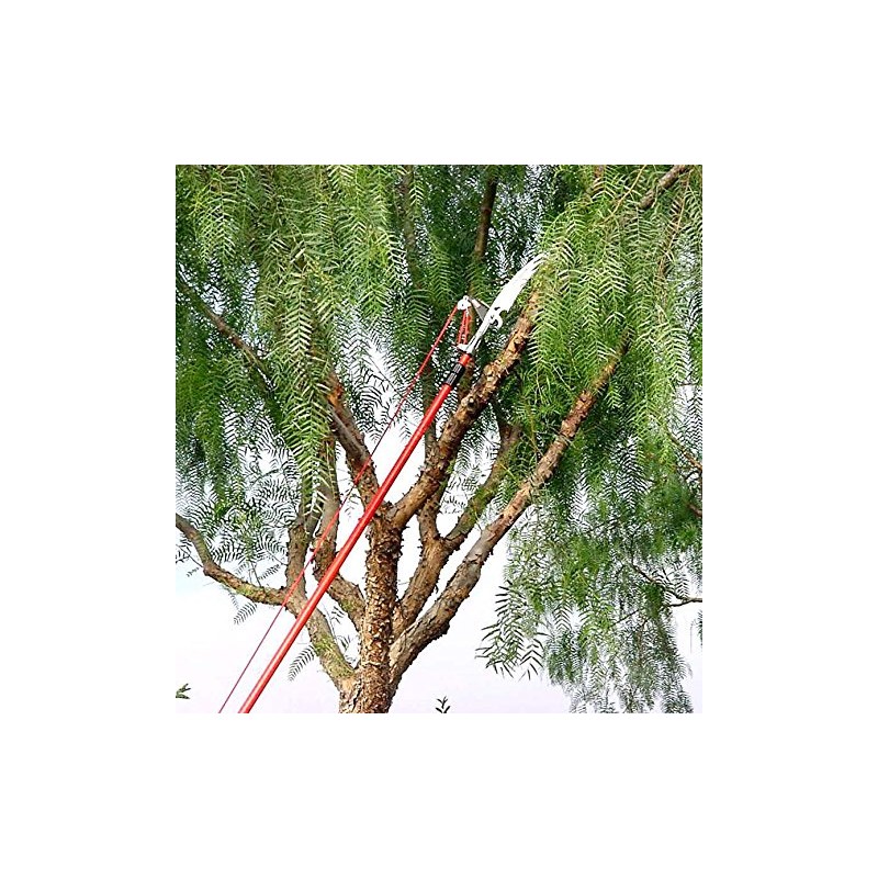 Corona TP 3841 DualCOMPOUND Action 12-ft. Tree Pruner, Red