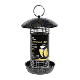 Tom Chambers Hammered Steel Peanut Feeder