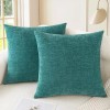 N/A CaliTime 2 Pack Cozy Throw Pillow Covers Cases for