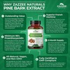 Zazzee Extra Strength French Maritime Pine Bark 20:1 Extract, 350