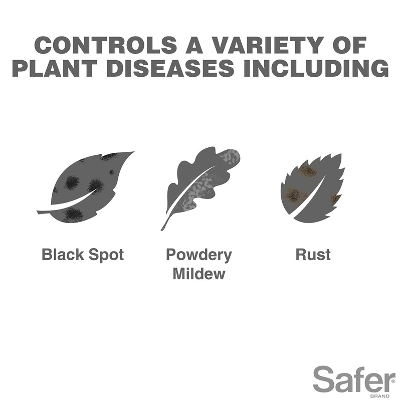 Safer Brand 5182-6 Neem Oil Concentrate Insecticide, Miticide, Fungicide for