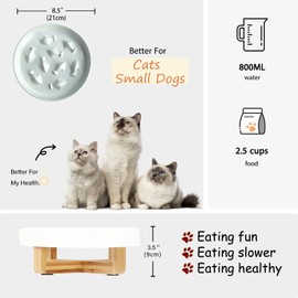 Ceramic Dog Slow Feeder Bowl with Stand, Slow Eating, Healthy Diet, 8.4x3x8.4 inches, 2.0 lbs, Medium, All Life Stages, Bone-White, Feeder for Indoor Pets