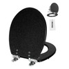 Angol Shiold Black Round Resin Toilet Seat Soft Close Quick