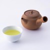 Ippodo Tea Hosen Sencha - Premium Japanese Green Tea