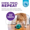 Outward Hound Double-Tuff Interactive Treat Stuffer Dog Chew Toy, Durable
