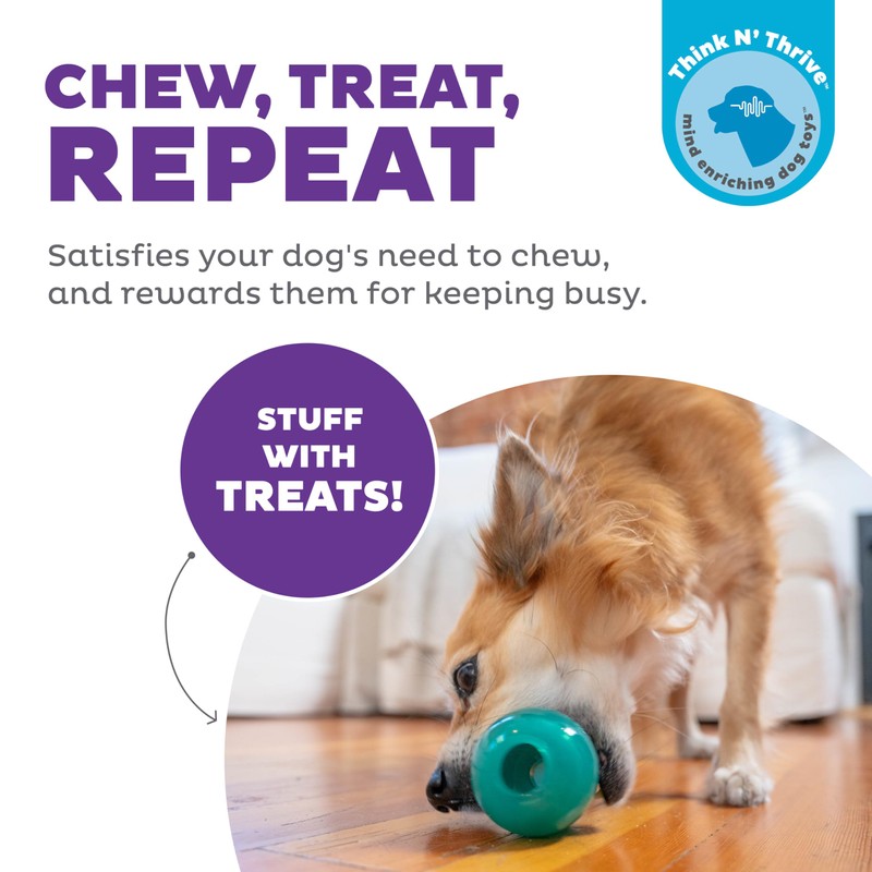Outward Hound Double-Tuff Interactive Treat Stuffer Dog Chew Toy, Durable