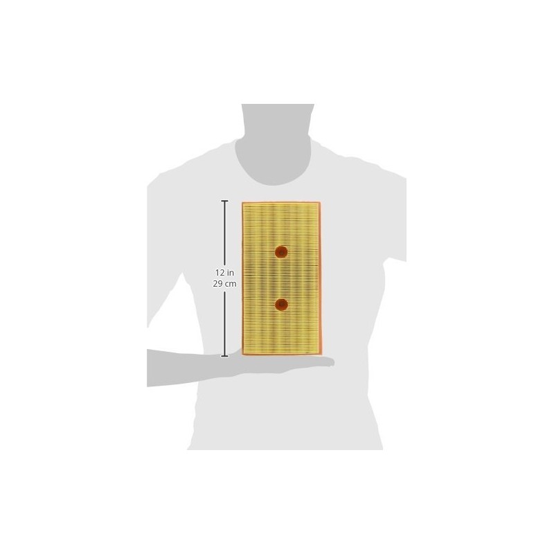 Valeo 585148 Air Filter