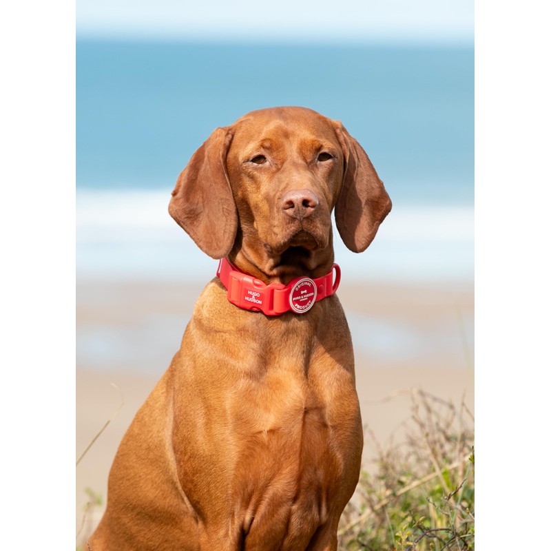 HUGO & HUDSON Waterproof Dog Collar, Anti Odor and Easy