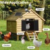 Large Automatic Chicken Coop Door Solar Powered, Charge with 7W