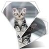 2 x Diamond Stickers 7.5 cm - Grey Tabby Bengal