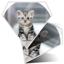 2 x Diamond Stickers 7.5 cm - Grey Tabby Bengal Pet Kitten Animals Laptop Tablet Luggage Scrapbook #8433