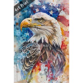 Eagle in profile with a watercolor Art 4x6 Print