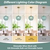 KCO Lighting Vintage Green Glass Pendant Light Gold Globe Pendant