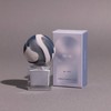 MN Creatures Nail 05 YETI Metallic Silver Integrates with Silver