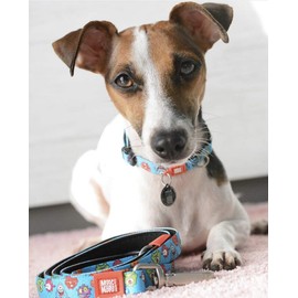 Max Molly Multifunctional Dog Lead, Padded, Reflective, Pink, Length: 200 cm, Size: XS-L