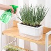 AIMALL Self-Watering Square Planter for Indoor Gardening, Balcony Vegetable Pot