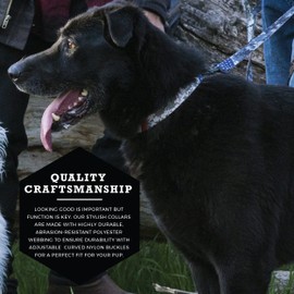 Wolfgang Adjustable Dog Training Collars for Medium Dogs, Durable & Easy to Clean Nylon Dog Collar with Quick Clip Buckles, For Training & Daily Use Made in USA, DigitalDog Print (1 Inch x 12-18 Inch)