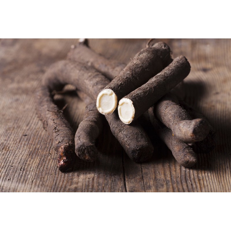 SeedsUP - 100+ Seeds Giant Black Root Salsify - Vegetable