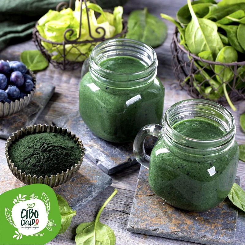 Organic Chlorella Powder - 100 g. Chlorella Algae Powder Made