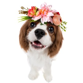 POPETPOP Dog Flower Headband Pet Flower Crown Headwear Flower Leaves Natural Wreath for Dog Cats Wedding Decor