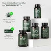 NFO Magnesium B6 – Magnesium Tablets with Vitamin B6 &
