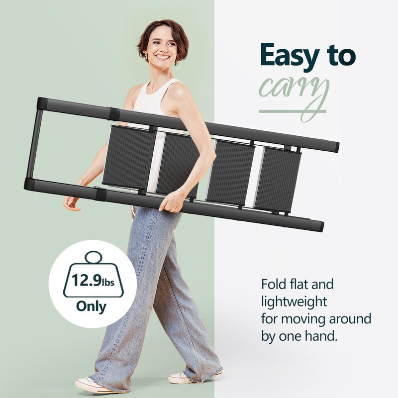 WOA WOA 4 Step Ladder for 10 Feet High Ceiling,