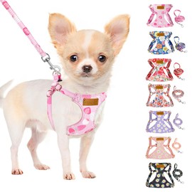 SlowTon No Pull Dog Harness with Leash - Soft Lightweight Floral Pattern Puppy Harness, Adjustable Pet Harness for Small Medium Dogs (Strawberry XXS)