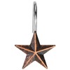 AGPtek Star Decorative Rustic Shower Curtain Hooks for Home Bathroom,
