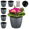 Planterhoma Self Watering Pots for Indoor Plants (Silver Gold, 6.7