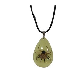 Caiyao Real Bug Necklace Real Insect Beetle Spider Scorpion Ant Taxidermy Animals Insect Collect Pendant Necklace Jewelry-Spider
