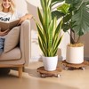 Hongsane 2 Pack Wood Plant Caddy with Wheels Heavy Duty,12
