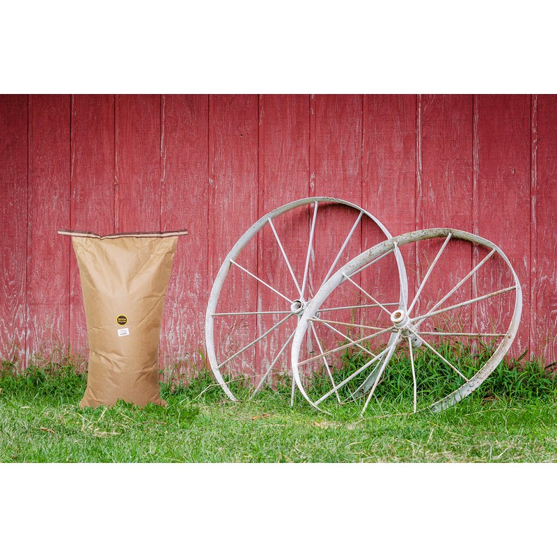 Amish Country Popcorn | 50 lbs Bag | Medium White