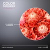 MARTHA DEBAYLE Shampoo COLOR DEFENDER. Protección extrema para el cabello
