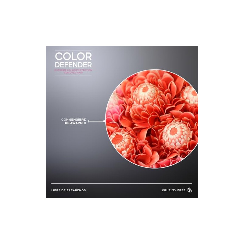 MARTHA DEBAYLE Shampoo COLOR DEFENDER. Protección extrema para el cabello